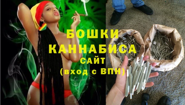 ешки Вяземский
