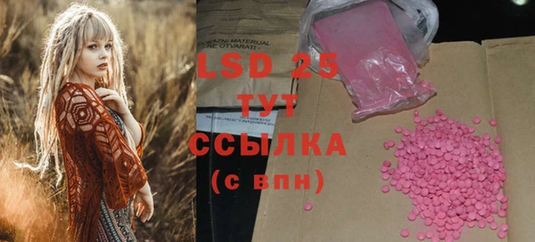 ешки Вяземский