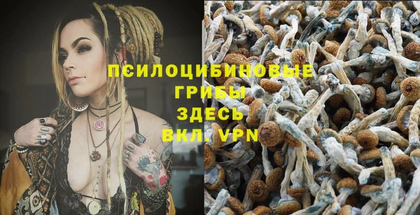 эйфоретик Вязьма