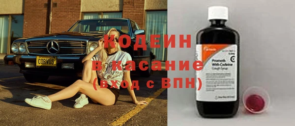 ешки Вяземский