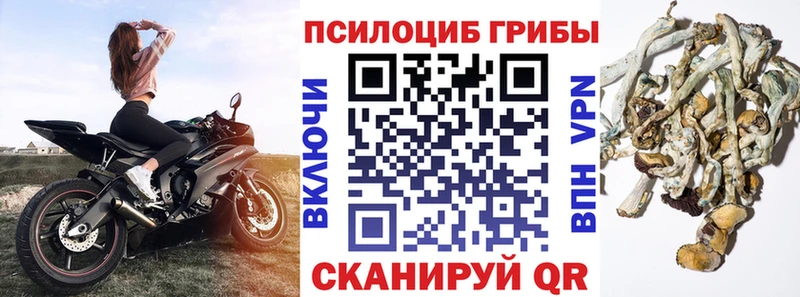 Галлюциногенные грибы MAGIC MUSHROOMS  Комсомольск-на-Амуре 